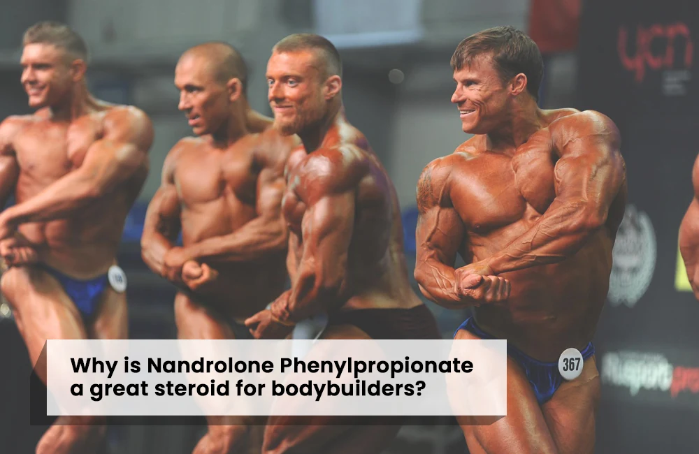 Why choose Nandrolone Phenylpropionate