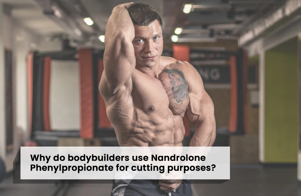 Why bodybuilders use NPP