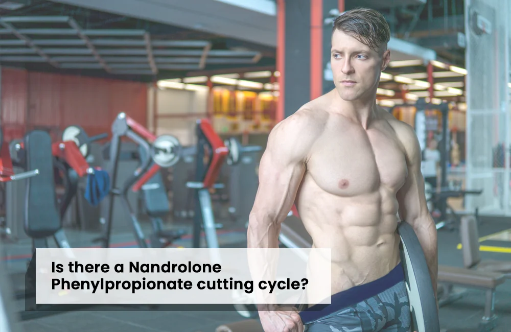 Nandrolone Phenylpropionate cutting cycle