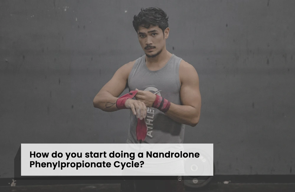 Starting Nandrolone Phenylpropionate Cycle