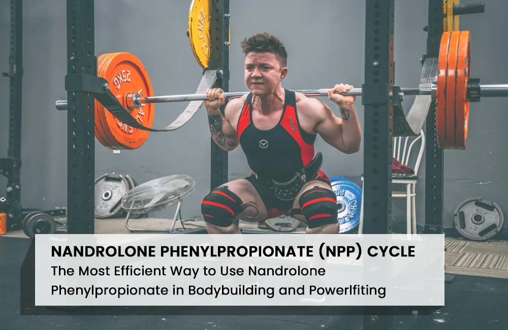 Nandrolone Phenylpropionate Cycle