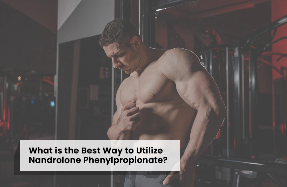 Utilize Nandrolone Phenylpropionate