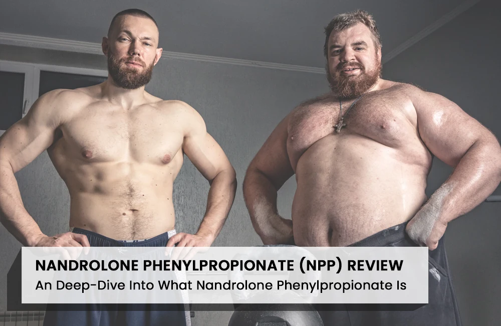 Nandrolone Phenylpropionate (NPP) Review