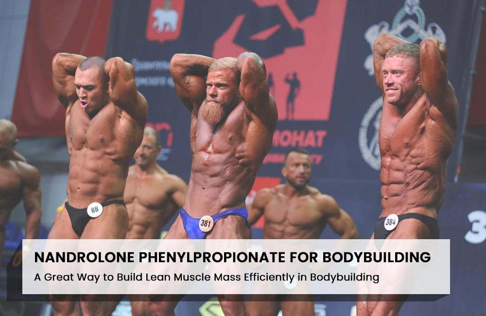 Nandrolone Phenylpropionate for Bodybuilding