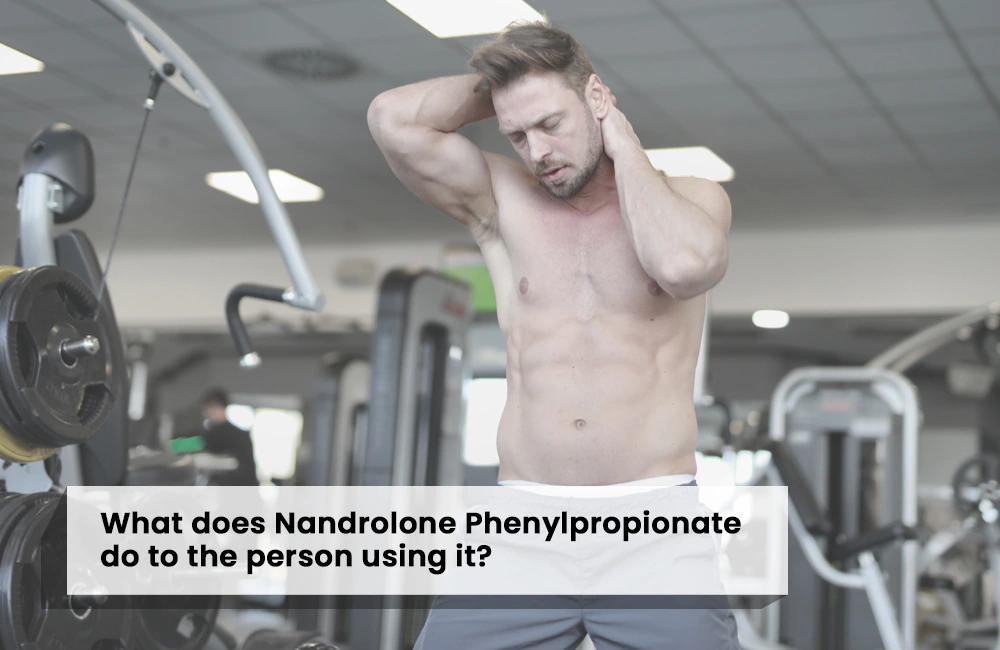 What does Nandrolone Phenylpropionate do