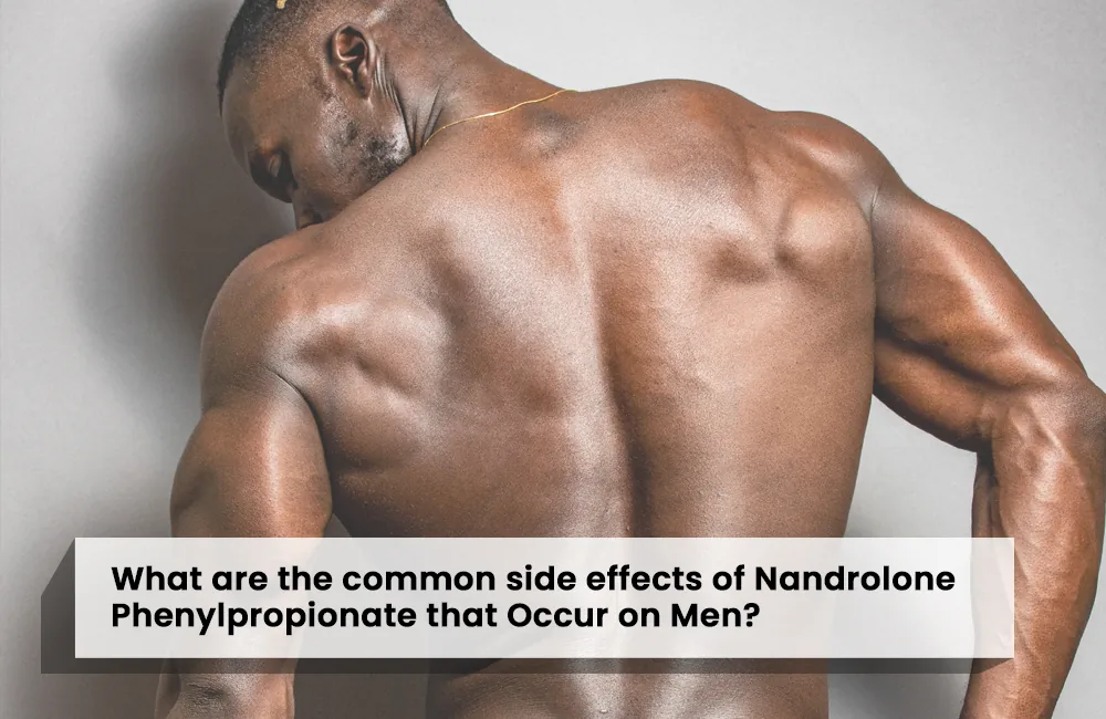 Nandrolone Phenylpropionate side effects