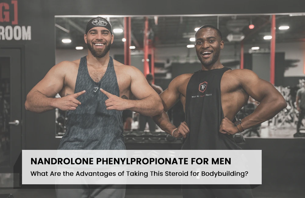 Nandrolone Phenylpropionate for Men